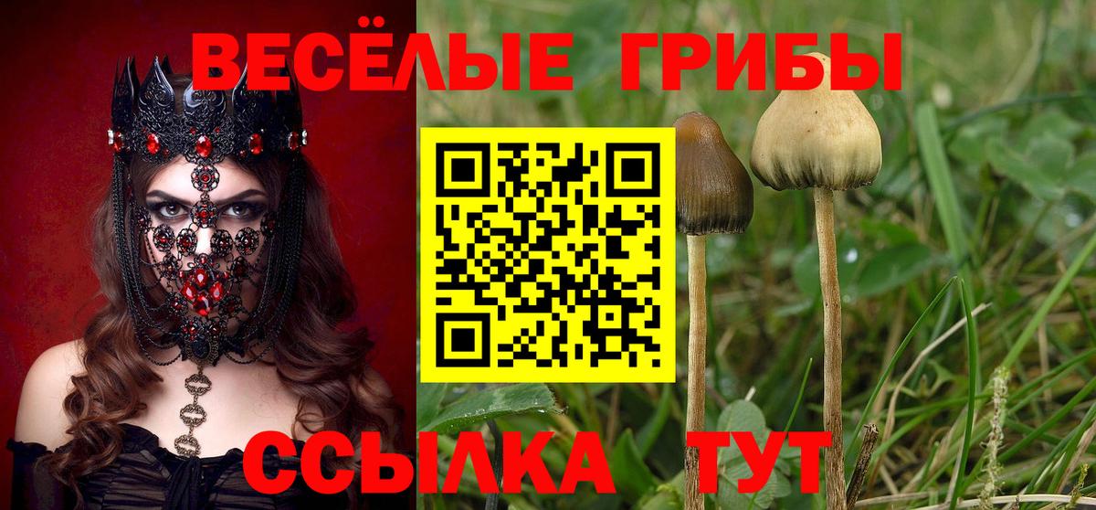 Галлюциногенные грибы мухоморы Елизово