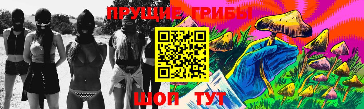 Елизово  наркотики  Вход с VPN  Галлюциногенные грибы Psilocybe 